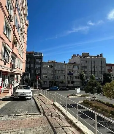 Acelya 37